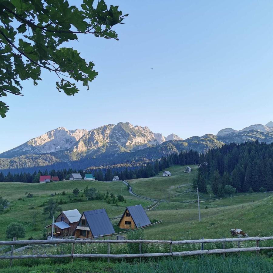 Villa Bosaca Žabljak Esterno foto