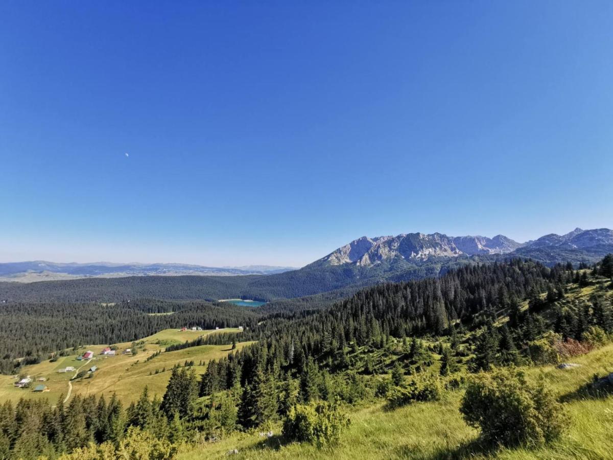 Villa Bosaca Žabljak Esterno foto